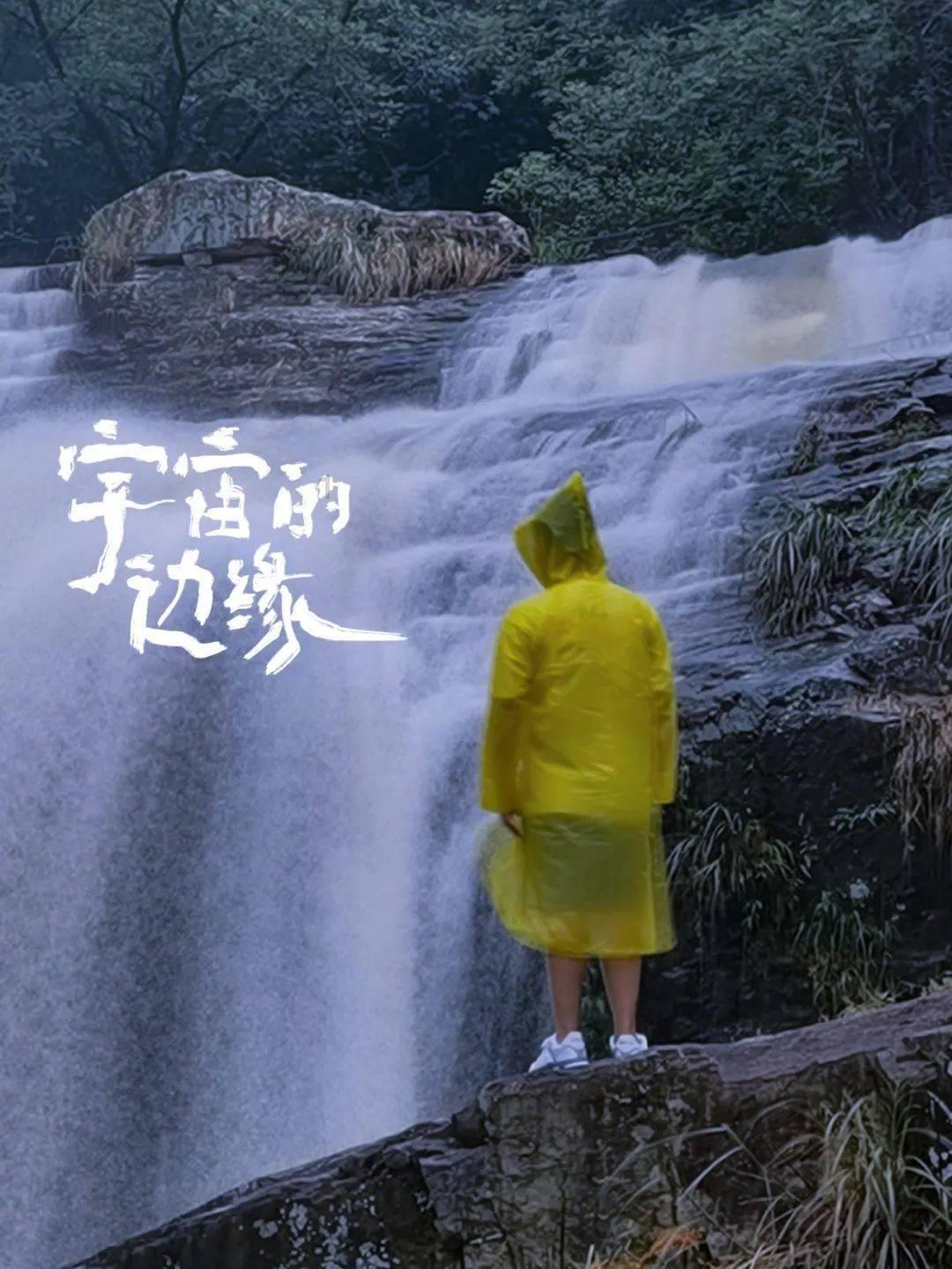 在编教师被查出假的教师资格证游戏画面