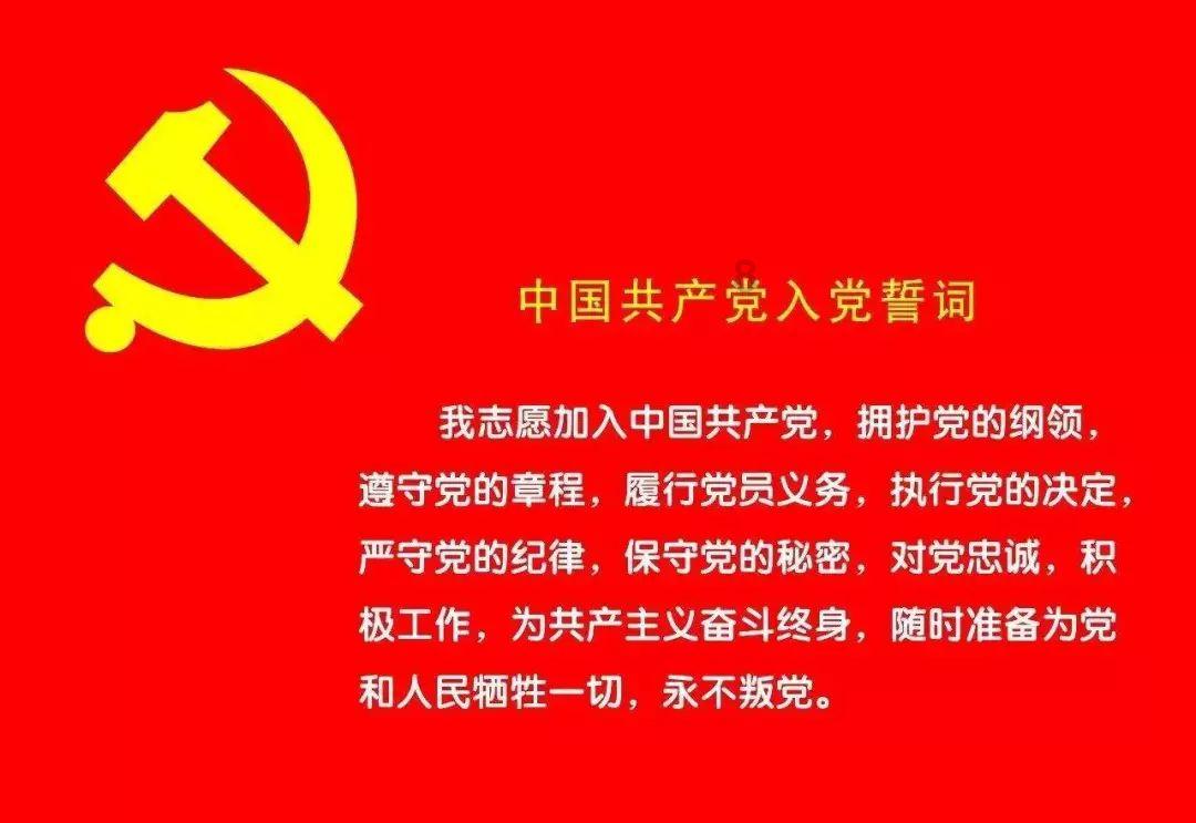 小猫钓鱼正版下载中文版