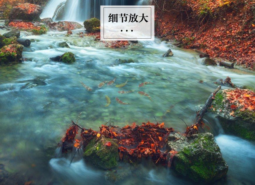 流放之路